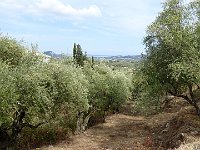 foto 001